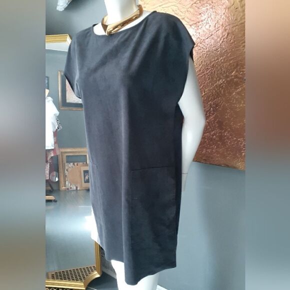 Wilfred Free Faux Suede Mini Dress - Picture 13 of 13